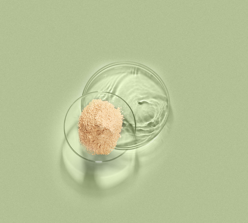 亿万先生MR·(中国集团)官方网站