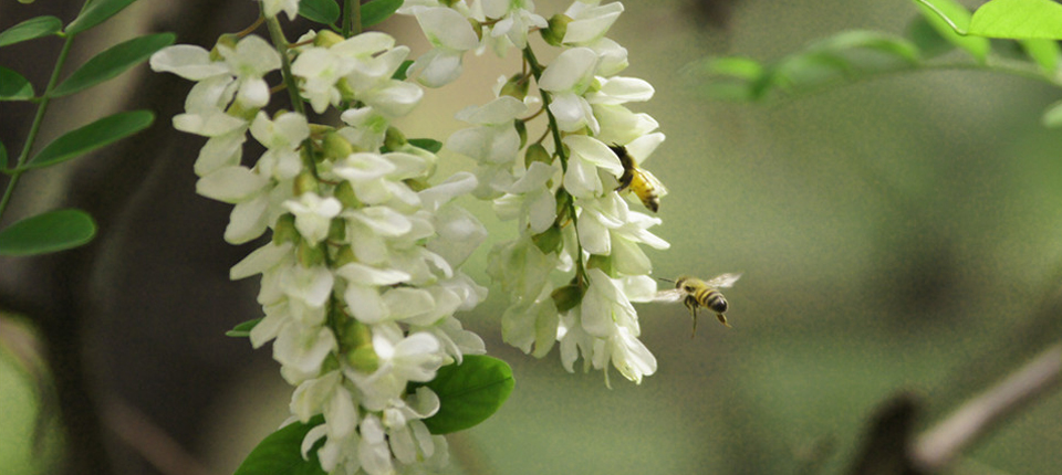 亿万先生MR·(中国集团)官方网站