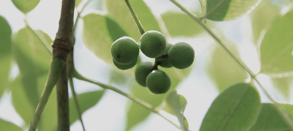 亿万先生MR·(中国集团)官方网站